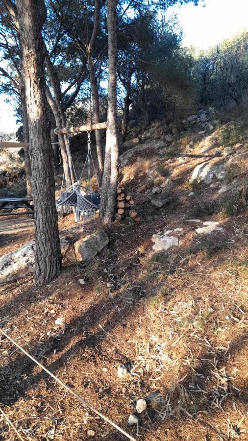 法维尼亚纳La Pineta别墅 外观 照片