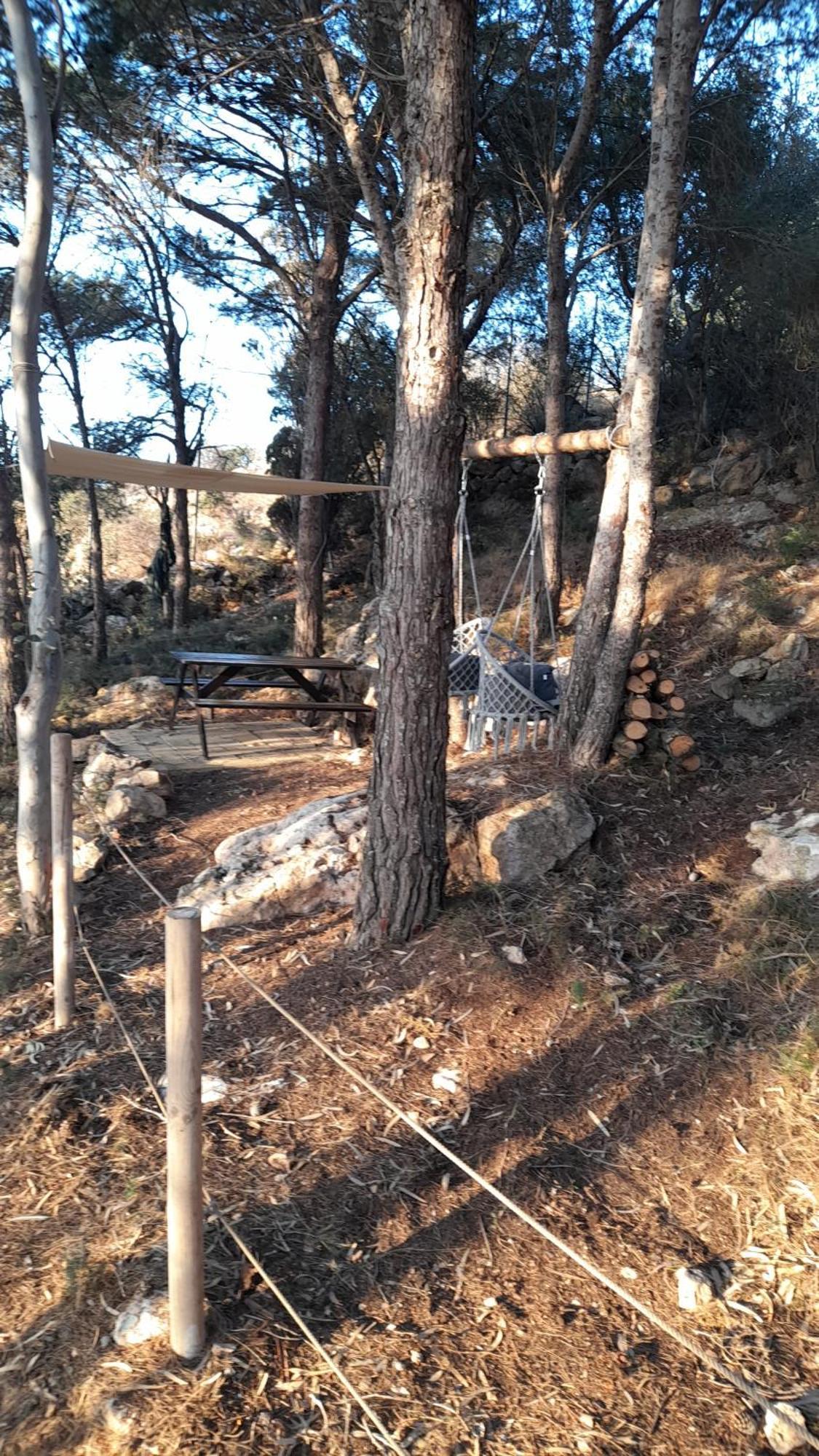 法维尼亚纳La Pineta别墅 外观 照片